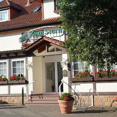 Parkhotel Zum Stern Oberaula 外观 照片