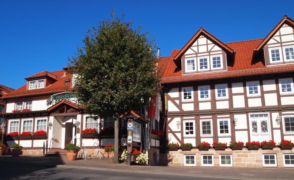 Parkhotel Zum Stern Oberaula 外观 照片
