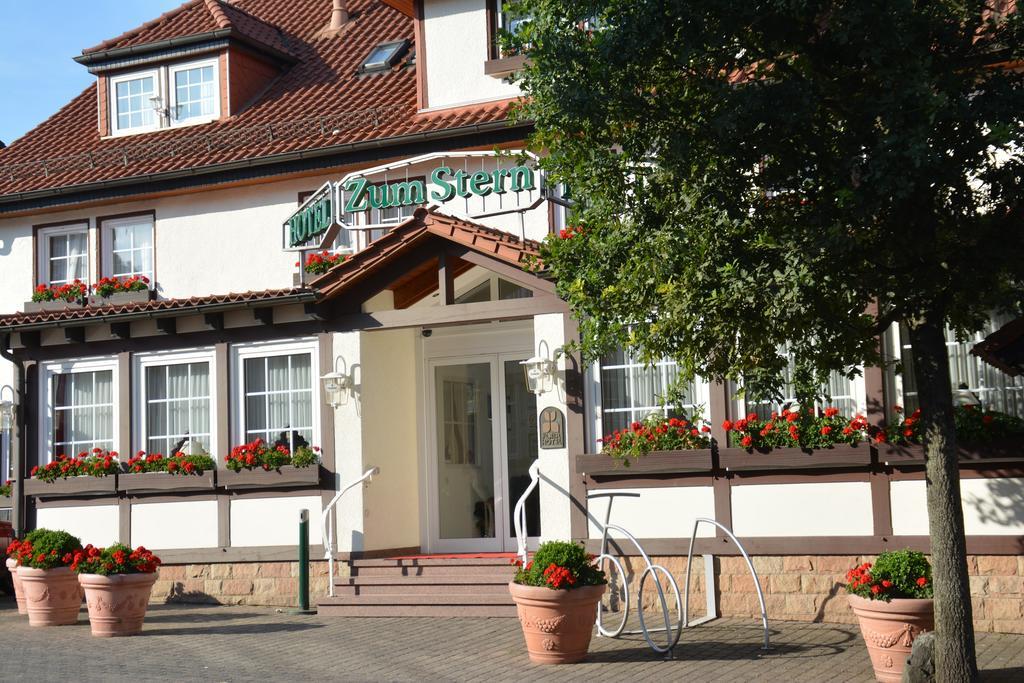 Parkhotel Zum Stern Oberaula 外观 照片